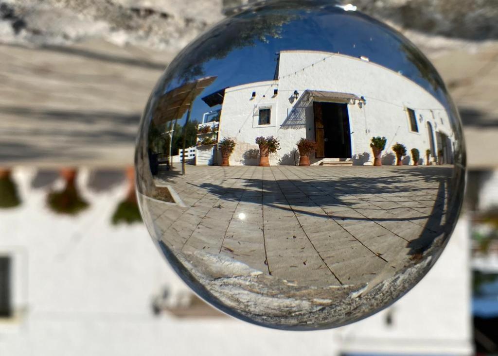 Ferienwohnung Profumo Di Terra Monopoli Exterior foto